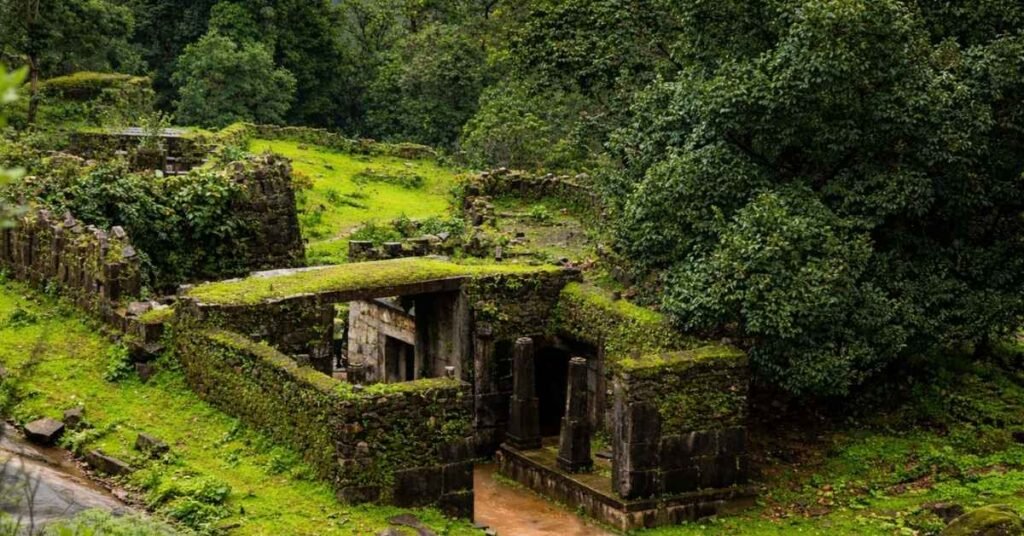 Best Things to Do in Agumbe