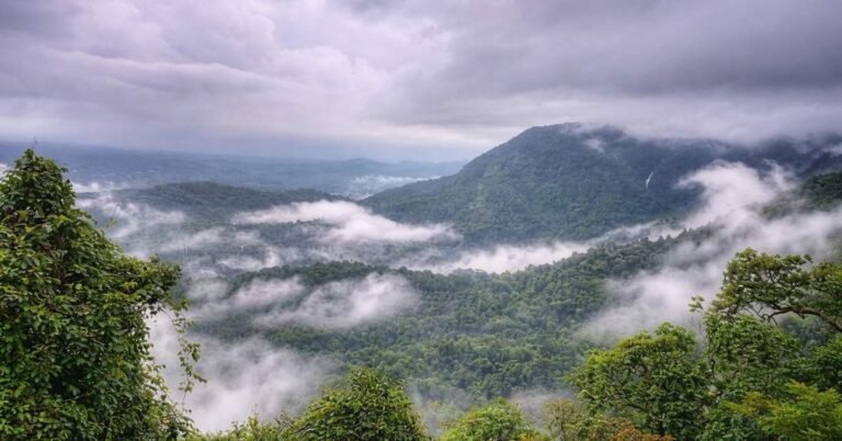 Best Things to Do in Agumbe