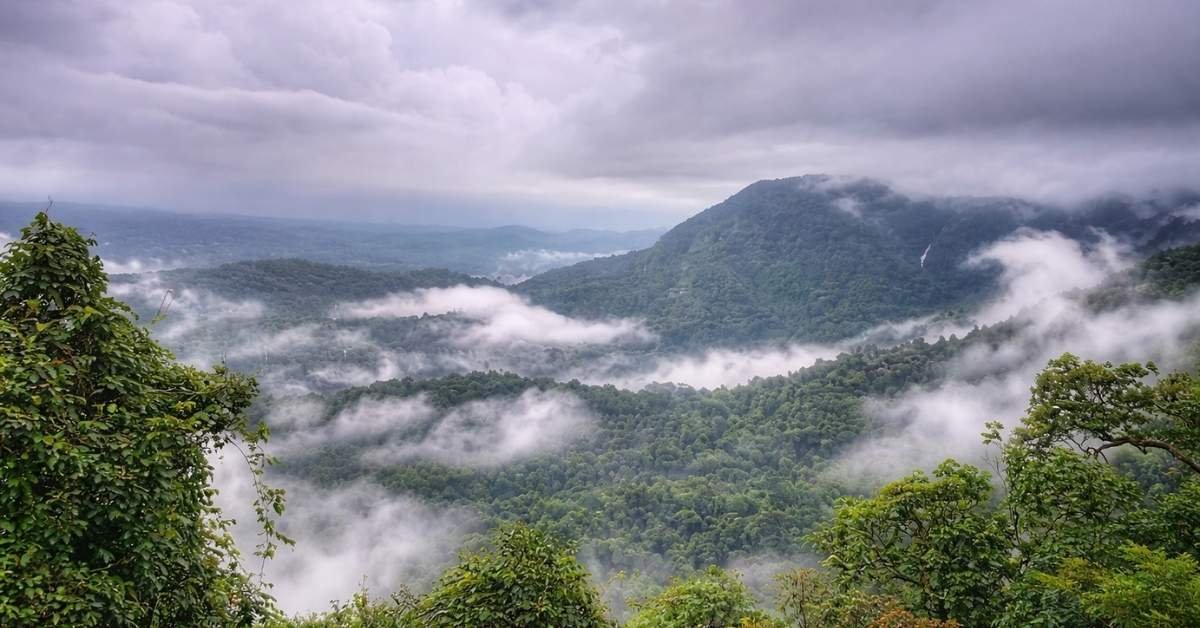 Best Things to Do in Agumbe