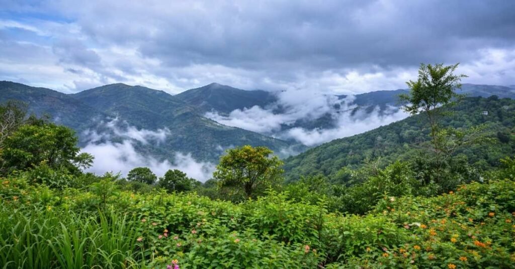 Must Visit Tourist Attractions in Kotagiri