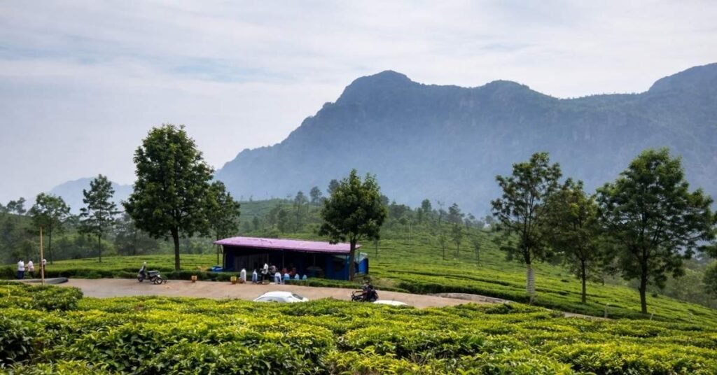 Best time to visit kotagiri