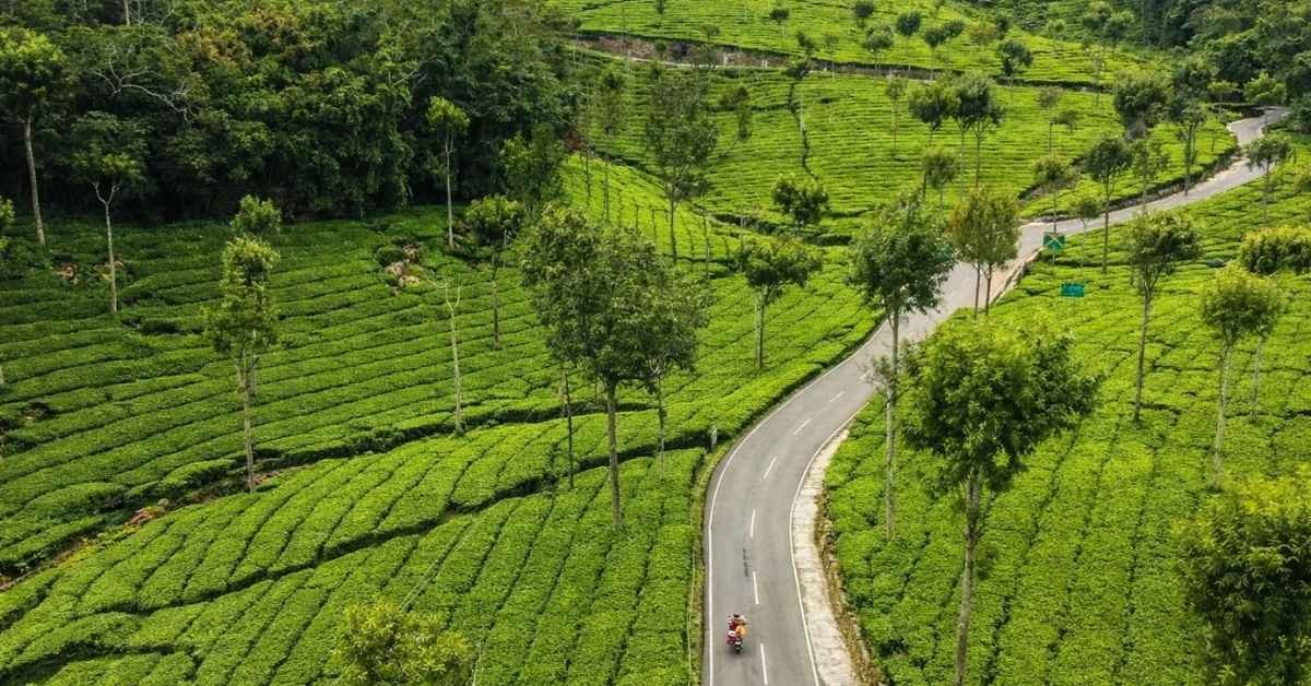 things to do in kotagiri