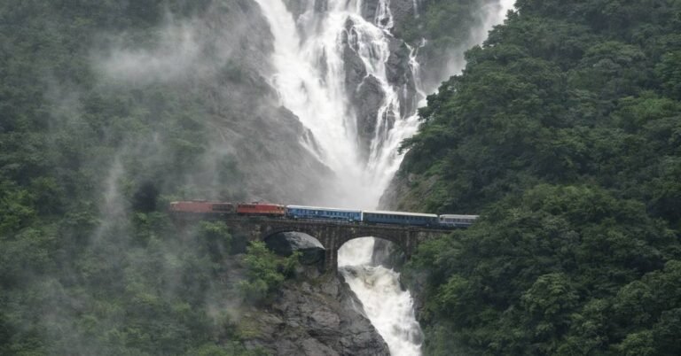 best time to visit dandeli