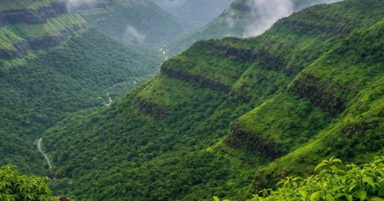Best Time to Visit Igatpuri (2026 Guide): Weather, Fireflies & Travel Tips