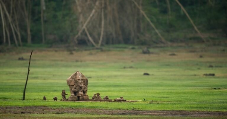 best time to visit kabini