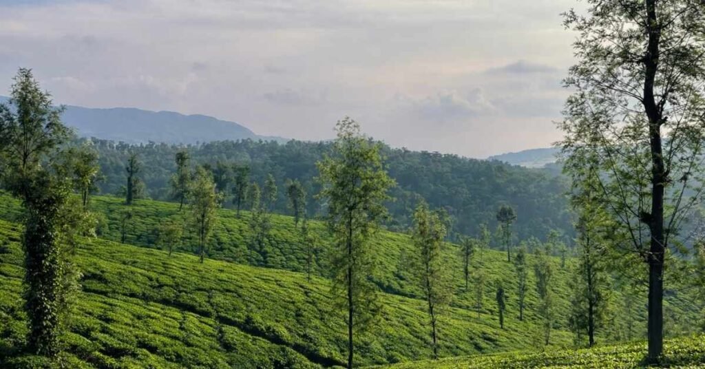 How to Reach Coorg from Mumbai