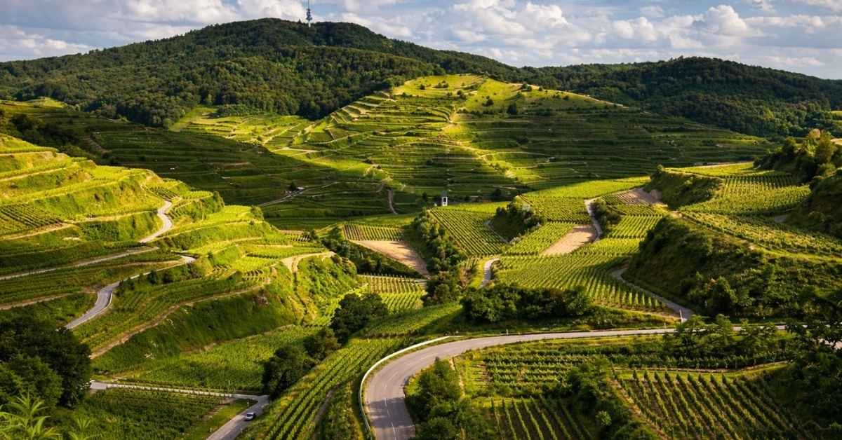 How to Reach Coorg from Mumbai