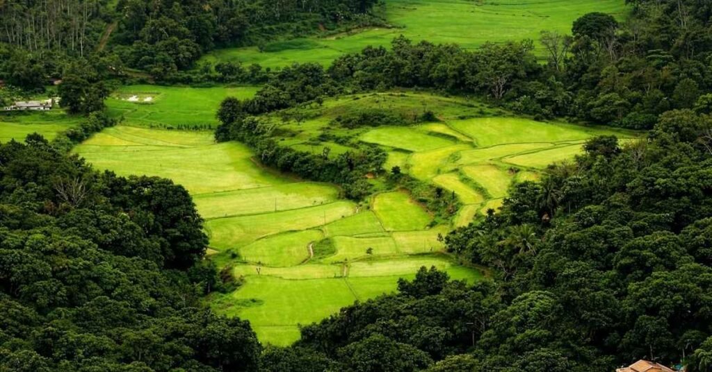 How to Reach Coorg from Mumbai