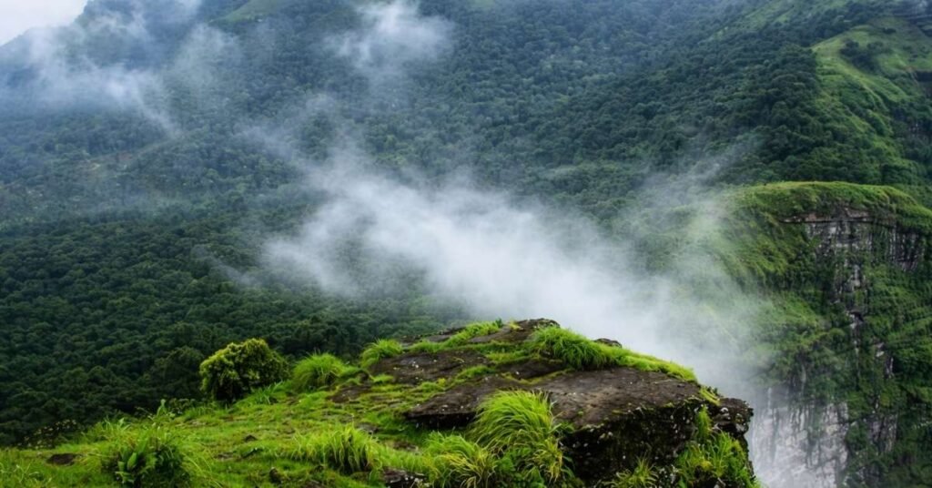 How to Reach Coorg from Mumbai