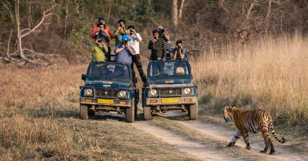 How to Reach Jim Corbett by Road