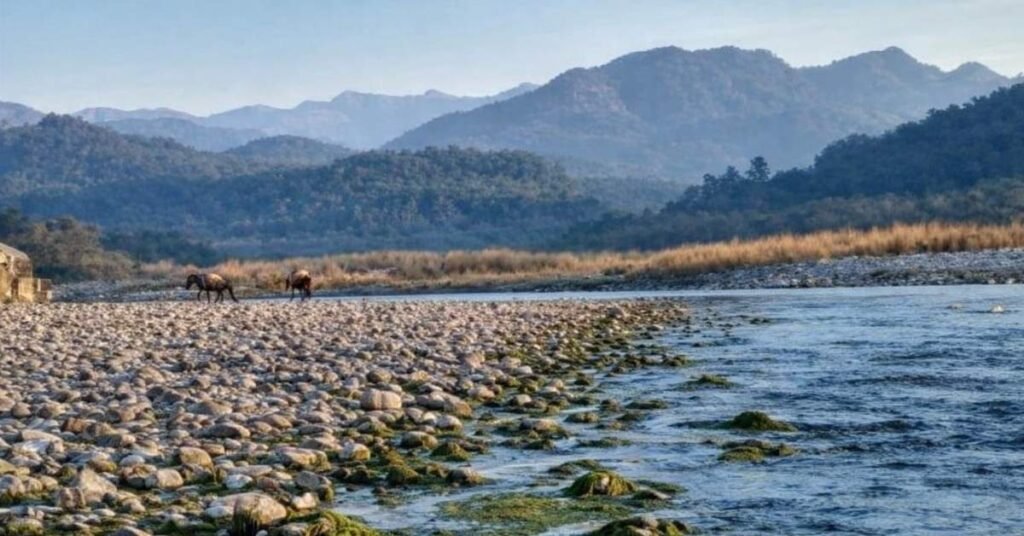 how to reach jim corbett