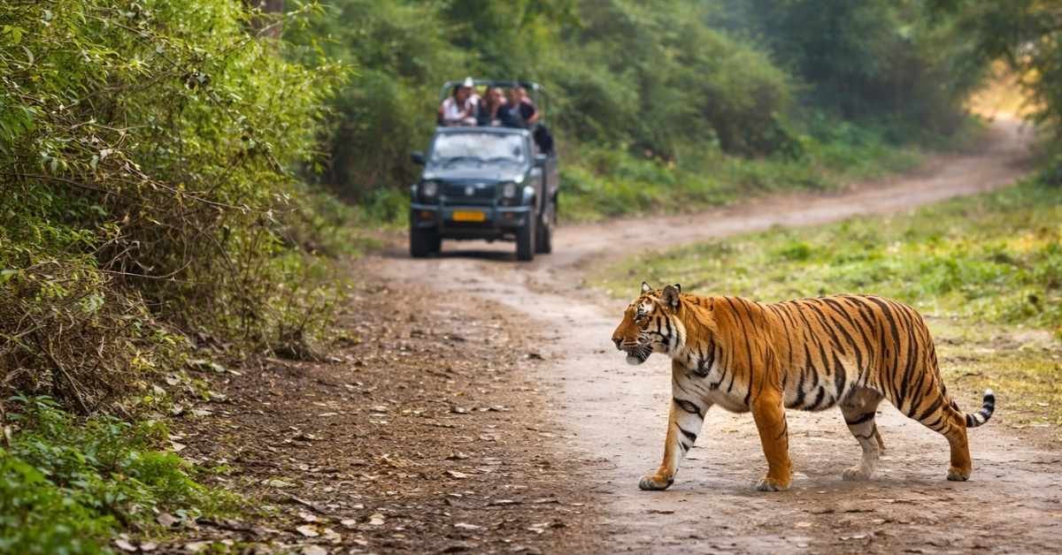 how to reach jim corbett