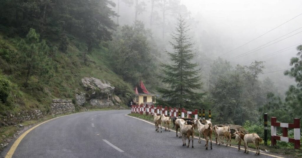 how to reach kainchi dham by train