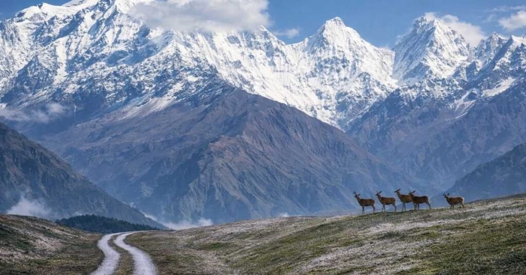 how to reach munsiyari from delhi by train