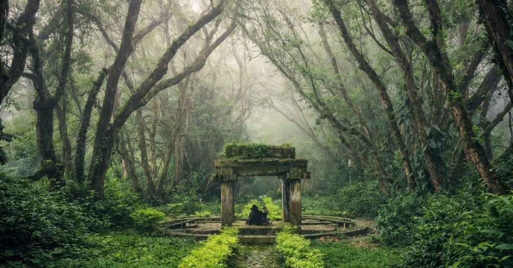 nandi hills best time to visit