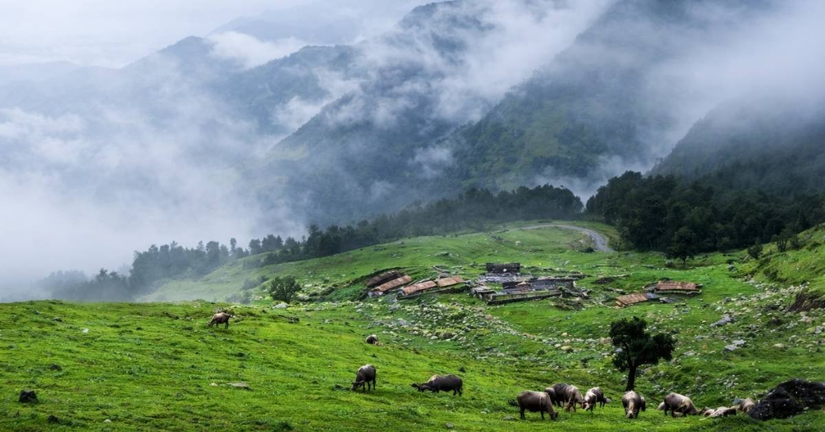 best time to visit chopta