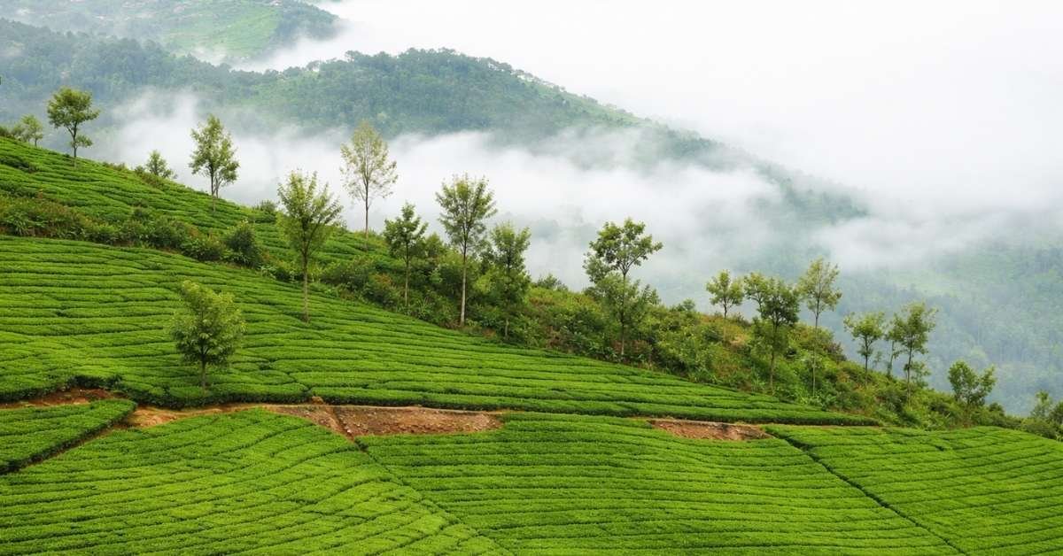 best time to visit coonoor