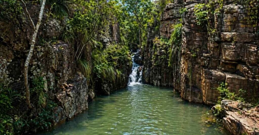 tirupati near waterfalls