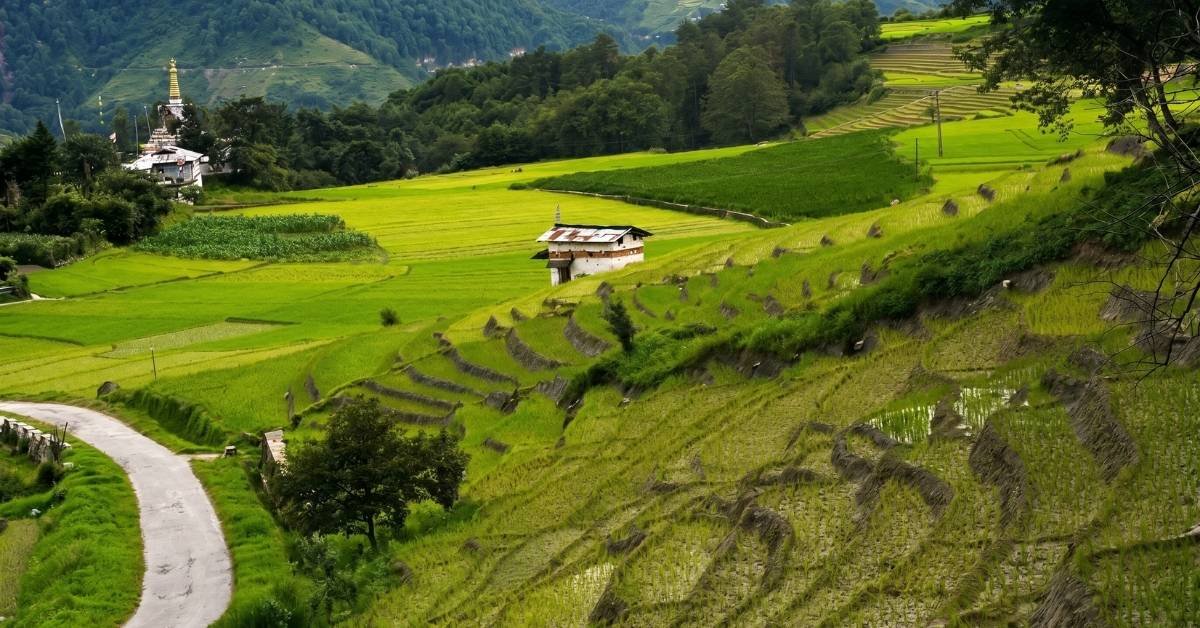 things to do in arunachal pradesh
