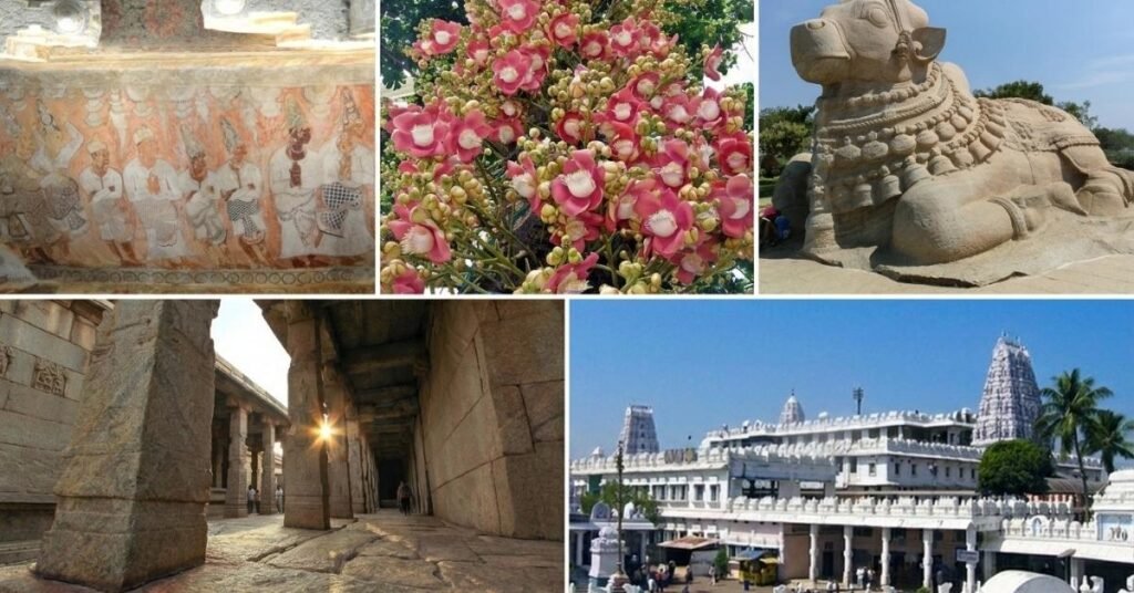 things to do in lepakshi