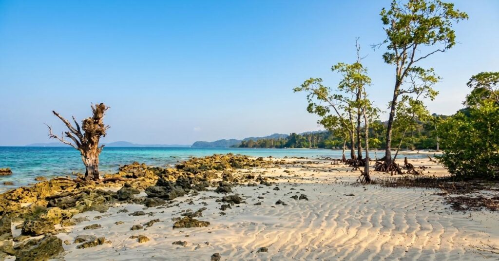 best time to visit port blair