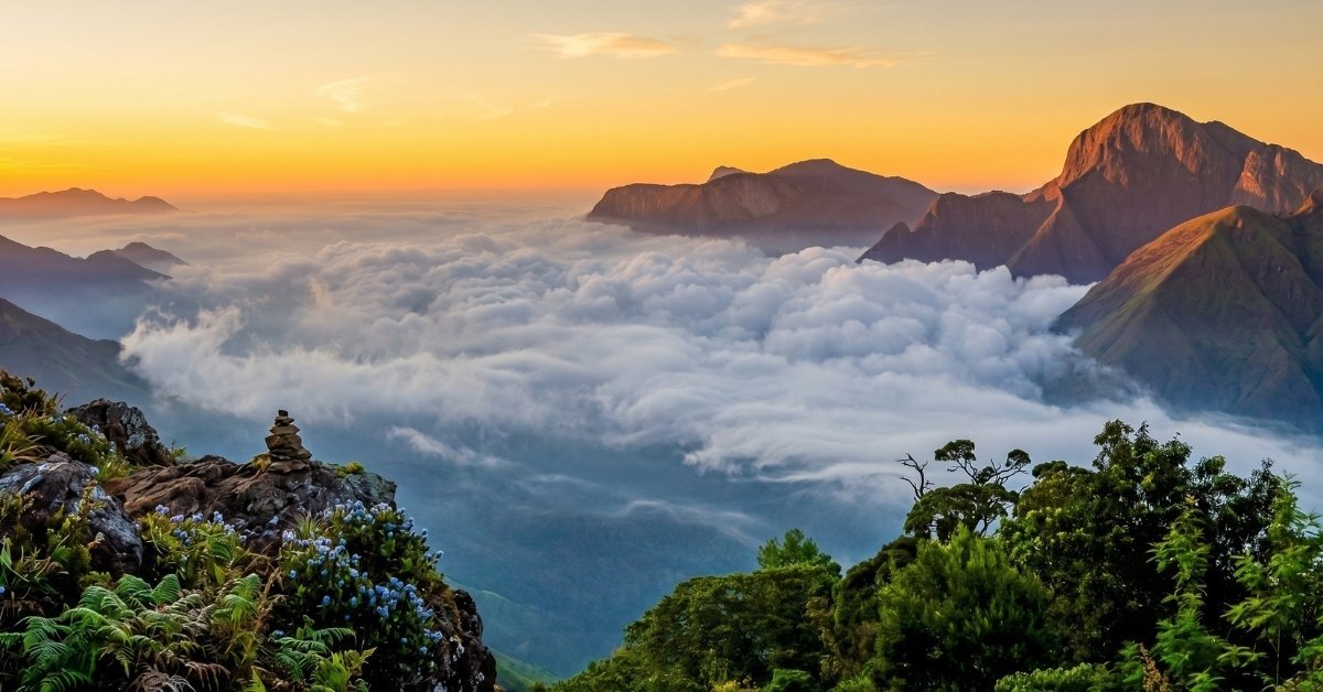 how to reach munnar from chennai