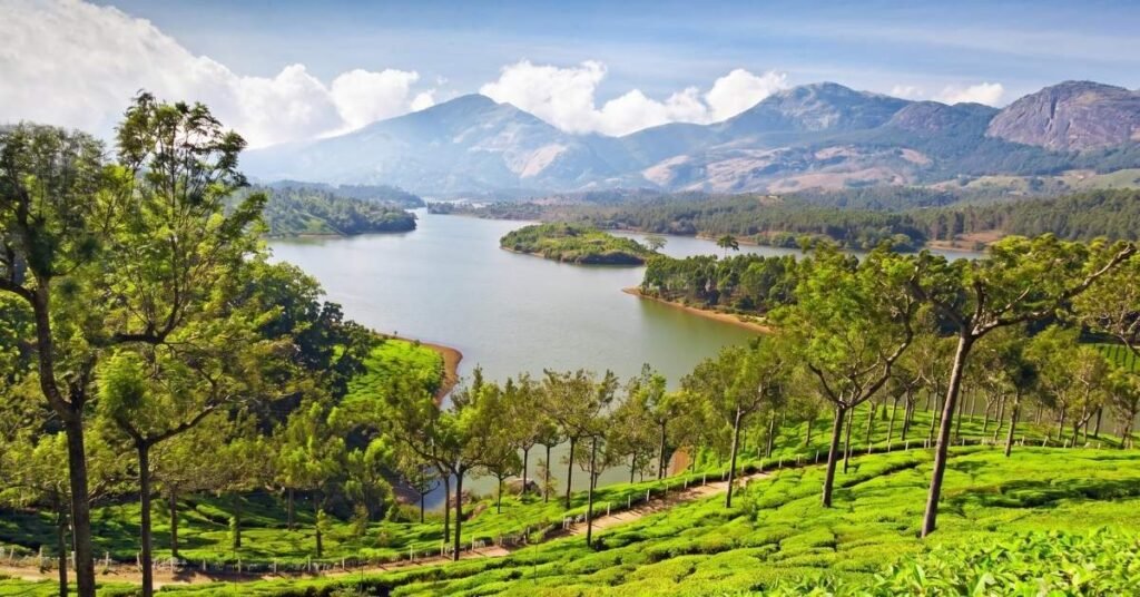 how to reach munnar from chennai