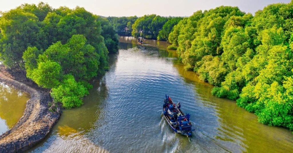 how to reach sundarban from kolkata