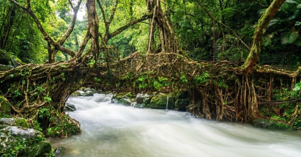 worst time to visit meghalaya