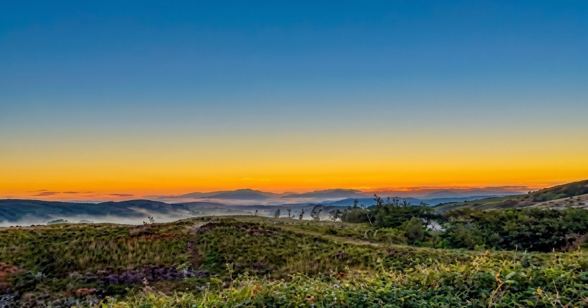 best time to visit dzukou valley