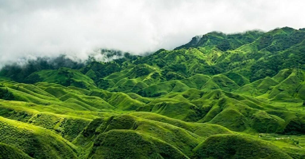 best time to visit dzukou valley