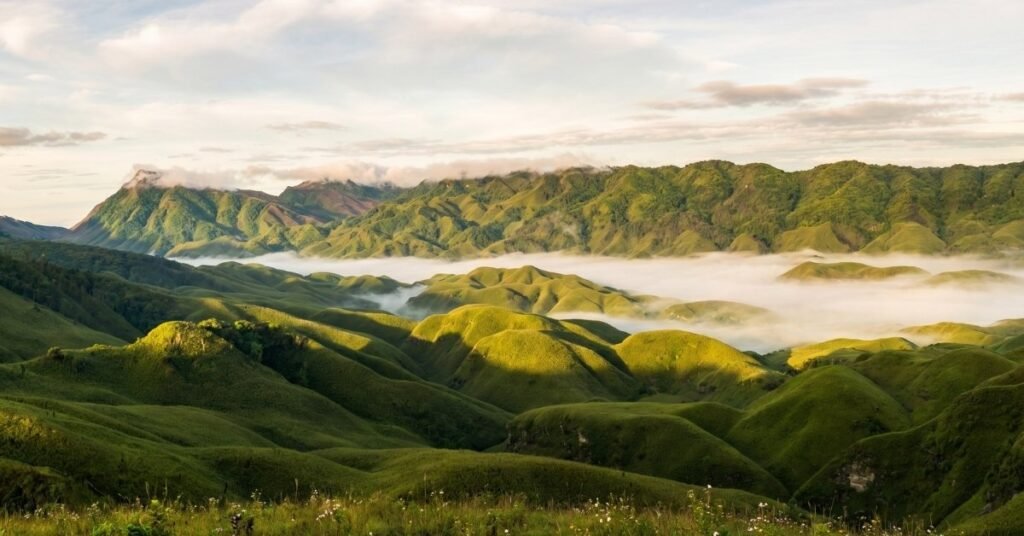 best time to visit dzukou valley