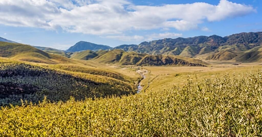 best time to visit dzukou valley