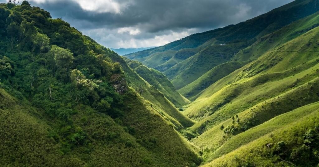 best time to visit dzukou valley