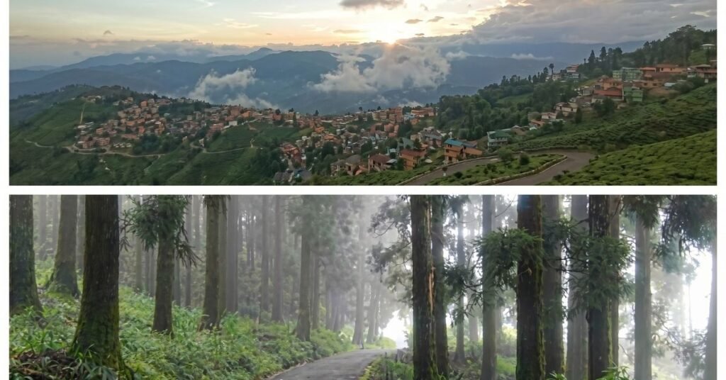things to do in kurseong