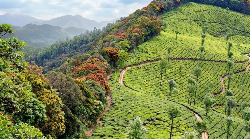 best time to visit valparai
