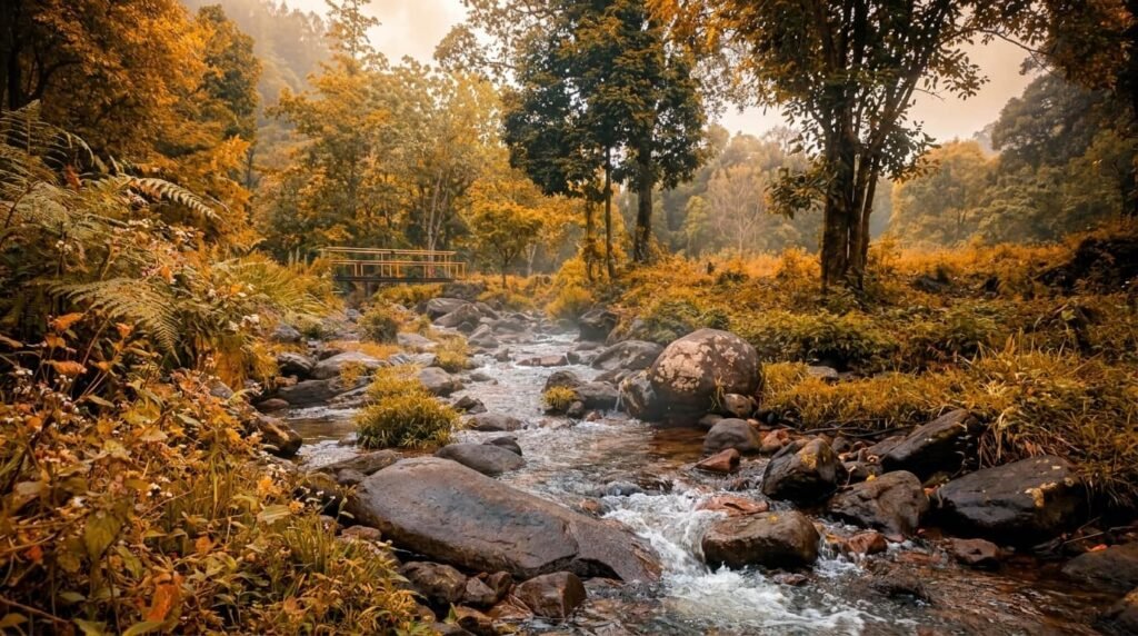 best time to visit valparai