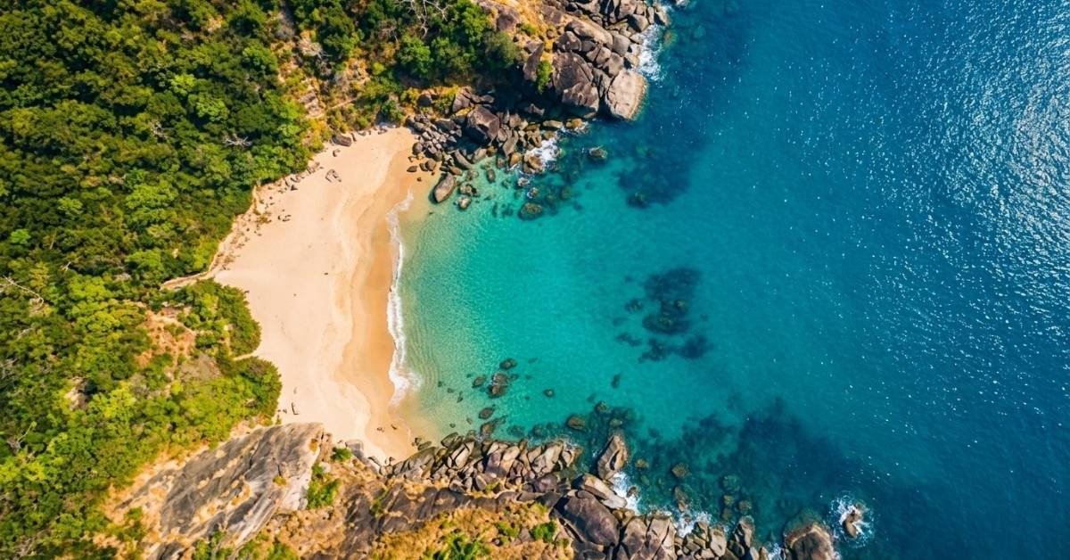 how to reach butterfly beach goa