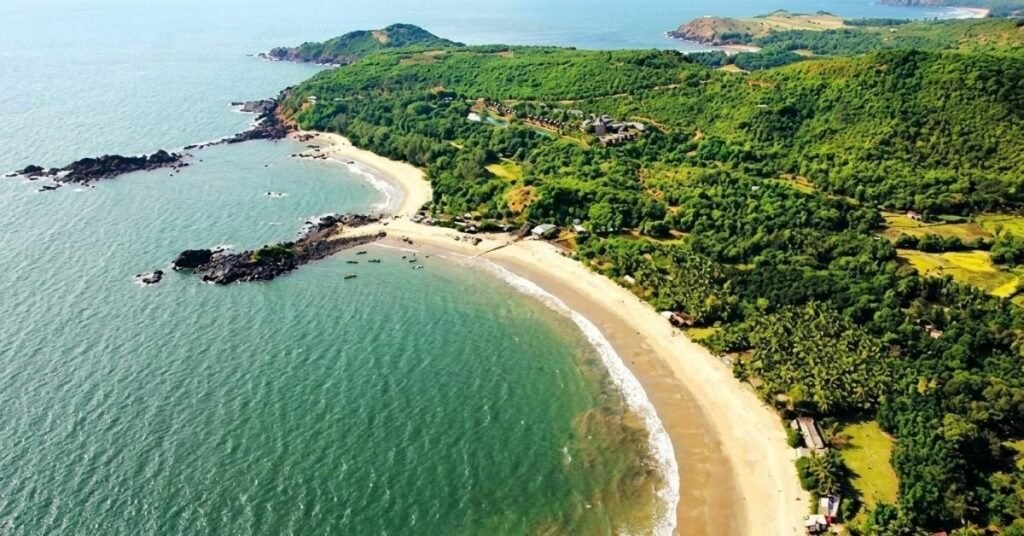 how to reach butterfly beach goa