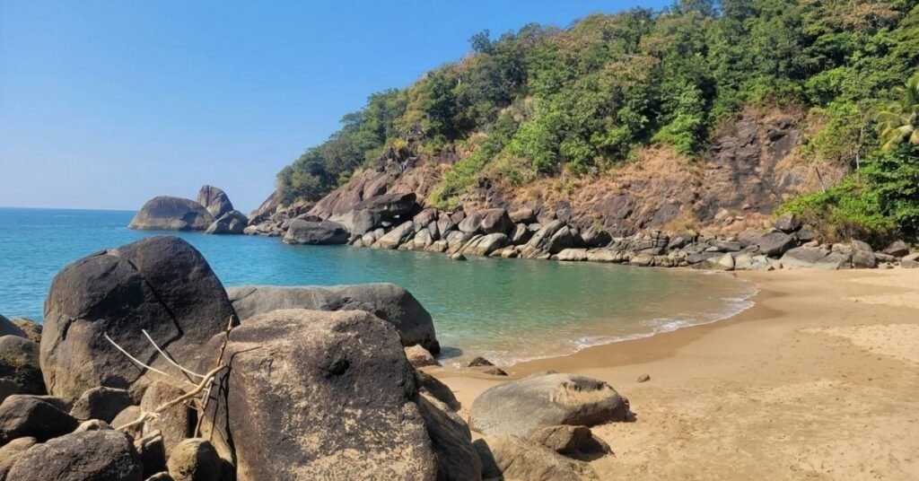how to reach butterfly beach goa