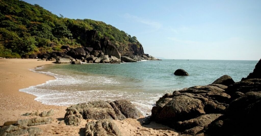 how to reach butterfly beach goa