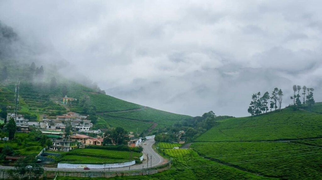 how to reach ooty from mumbai