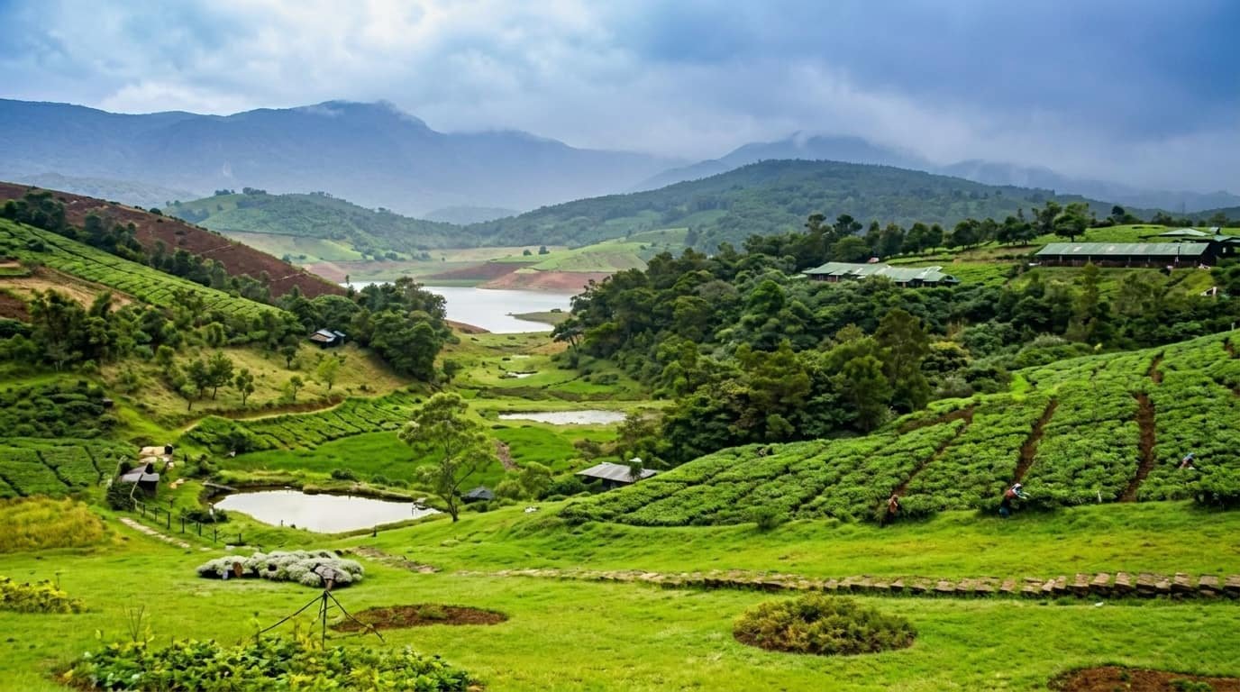 how to reach ooty from mumbai