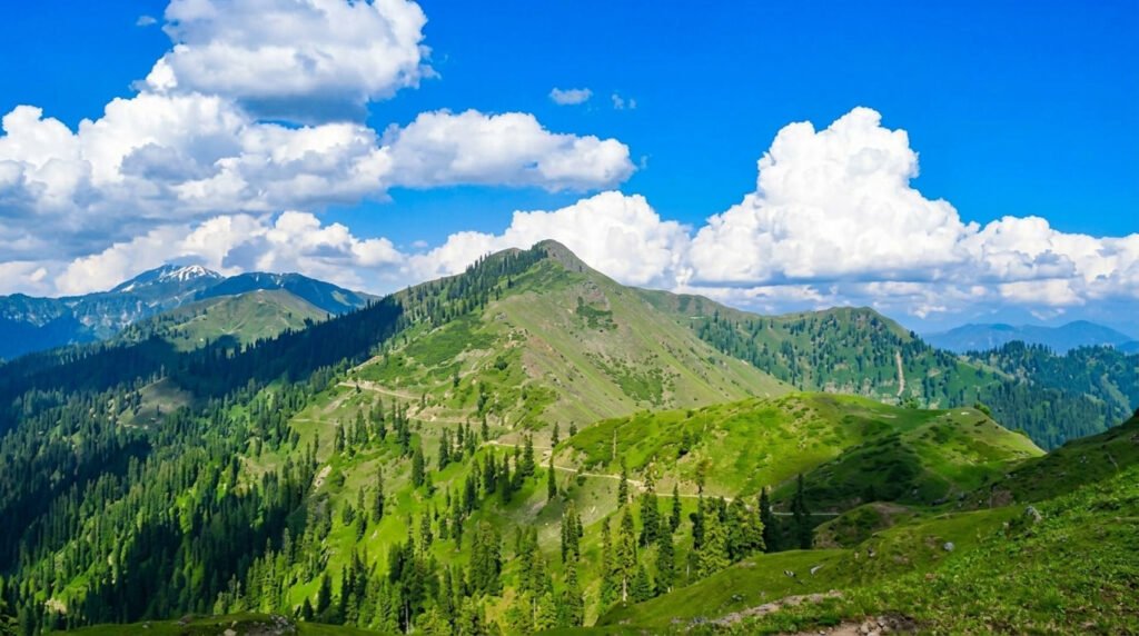 which is the best time to visit kashmir