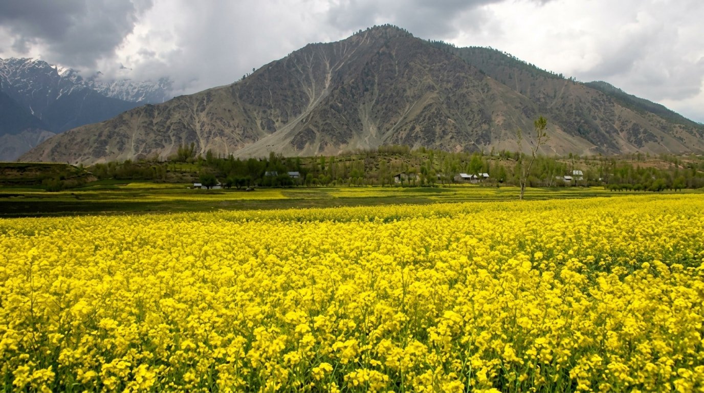 which is the best time to visit kashmir
