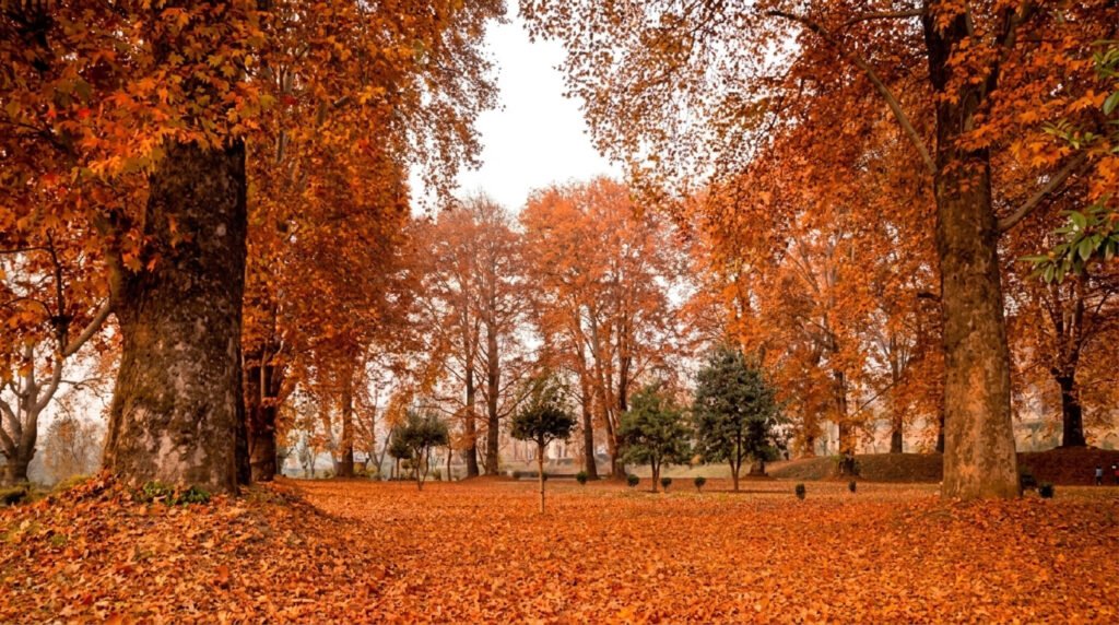 which is the best time to visit kashmir